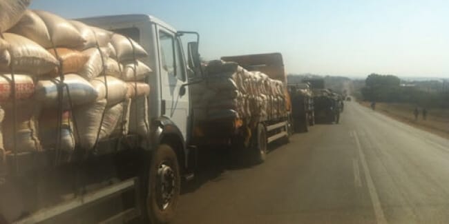 Maize smugglers to Tanzania change route to Lake Malawi