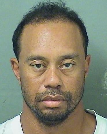 Tiger Woods Mugshot
