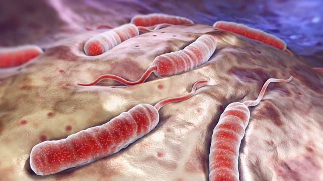 Chikwawa hit by Cholera