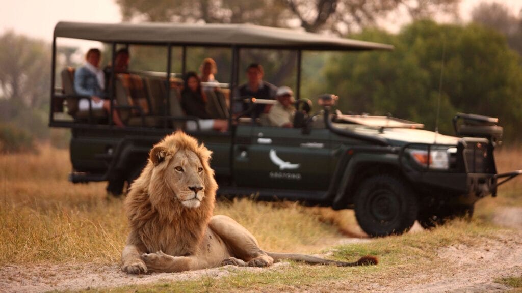 Idyllic African safari honeymoon spots