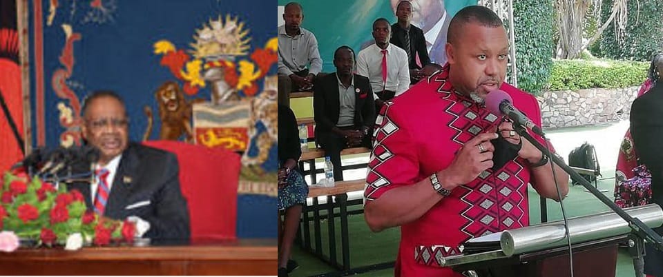 Z Allan Ntata’s Uncommon Sense: The President, His Vice, and The Virus