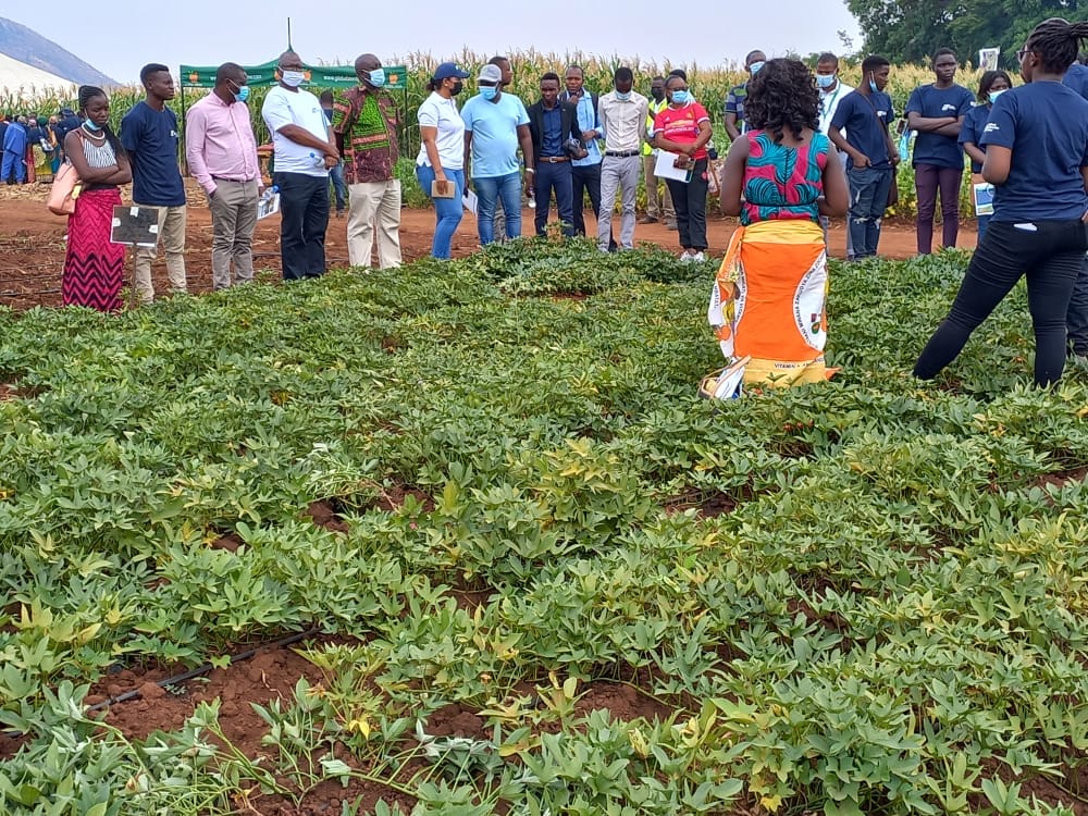 Malawian farmers urged to embrace high yielding technologies