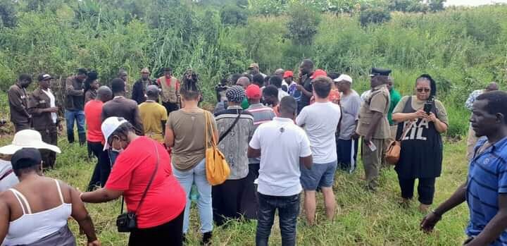 Reunion Insurance pairs with LCC, GLF on tree planting exercise