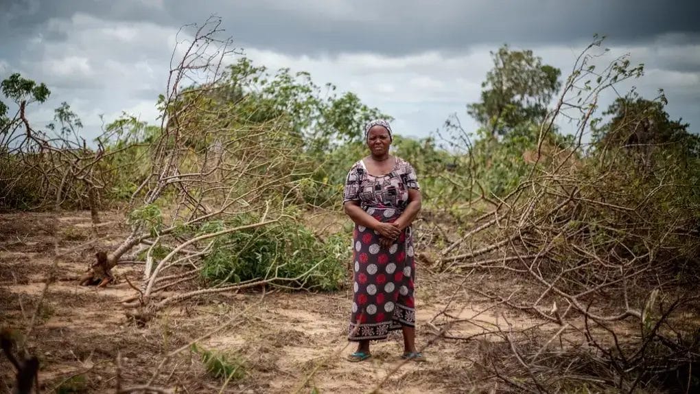 News alert: Cyclone Freddy continues to wreak havoc in Mozambique