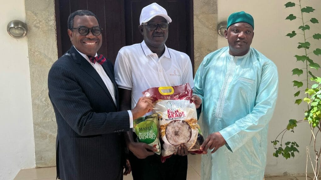 The Gambia and AfDB Group to boost rice output and uplift youth and women entrepreneurs
