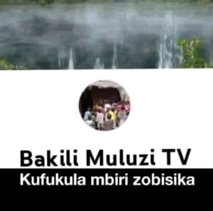 Bakili Muluzi TV F