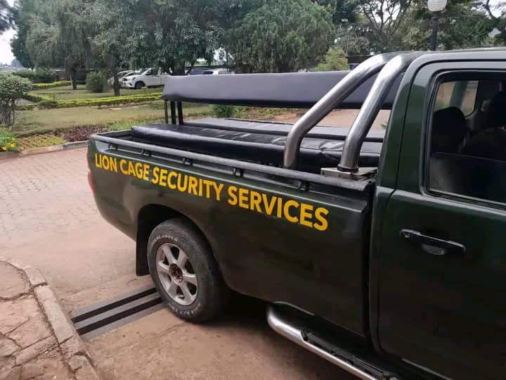 Lion Cage Security