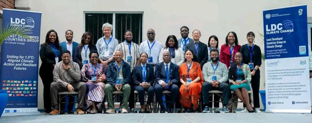 Least Developed Countries (LDCs) Group