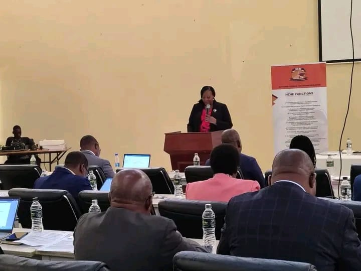 New guidelines aim to standardize bridging programs in Malawi’s higher education sector