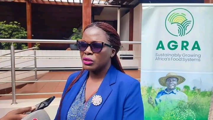 AGRA Rolls Out K6.3 Billion Project to Boost Soya Bean and Groundnut Value Chains