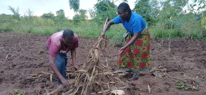 Soil Health Campaign to Boost Smallholder Farmers’ Productivity