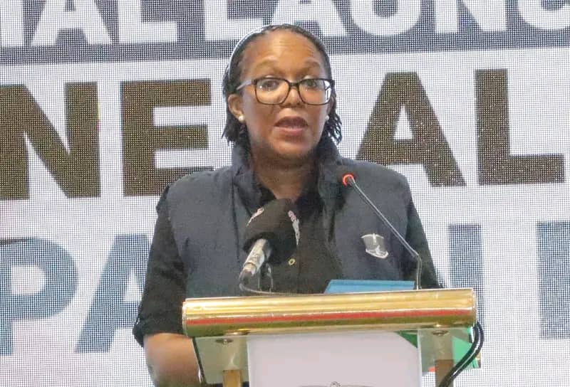 MEC highlights key contesting parties, districts for 2025 Local Government Elections