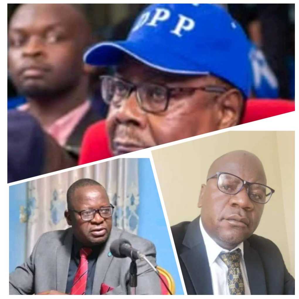 DPP denies Kenneth Bwanali claims on Mutharika’s attendance at campaign rallies