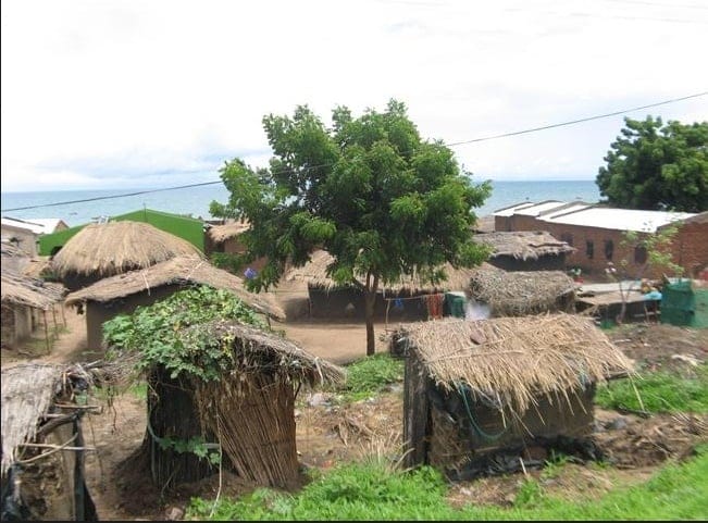 #MalawiDecide2025:Rural realities as 80% Malawians dire need of cheeper farm inputs