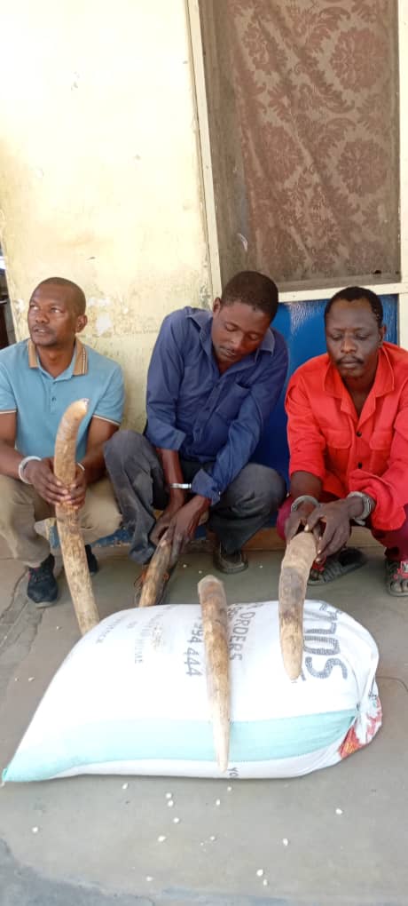 Three summoned in Chikwawa court over Ivory: Can Malawi close the rural supply chain?