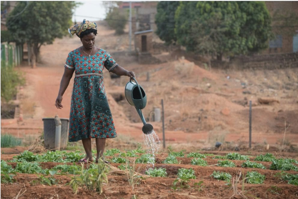 Lancet Countdown Africa Publishes Landmark Report on Climate Change and Health in Africa