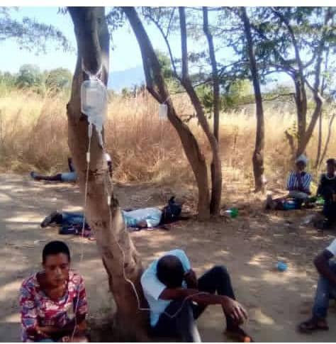 Cholera emerges in five districts, Govt springs into action