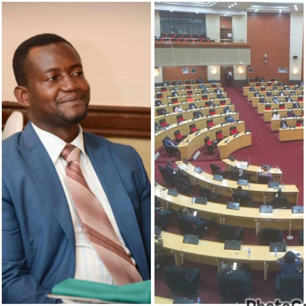 “MPs passed CDF bill for personal, political gains”-Analysist Tsitsi calls for judicial review