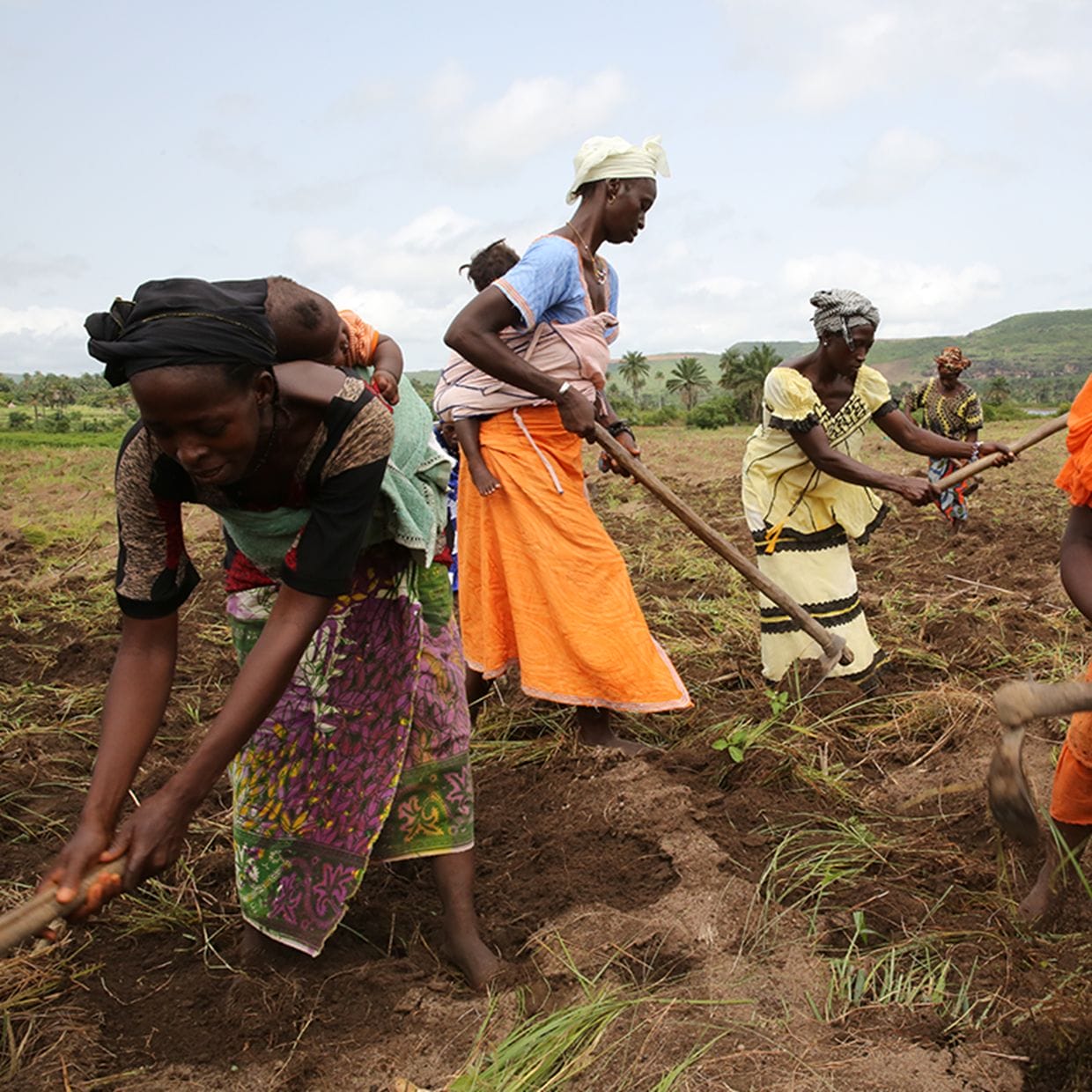 World Bank:  Malawi is facing its worst economic crisis in many years