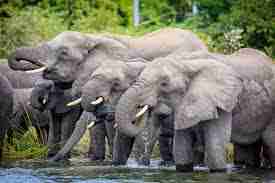 Visiting Malawi: “Warm Heart of Africa”